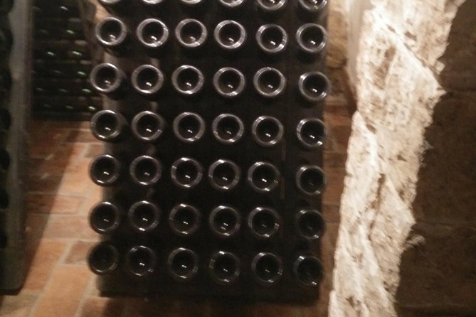 Wine & More Tour , Private Guided Wine Tour From ROVINJ & PULA to Wine Cellars - Exploring Istrian Countryside
