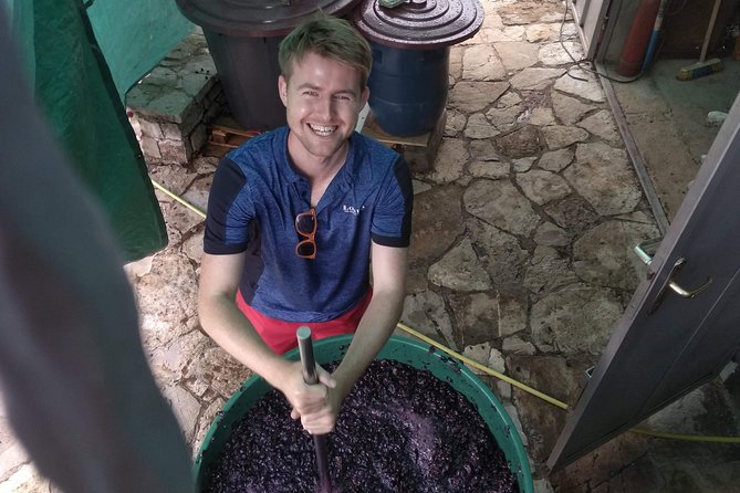 Wine Tasting and Magical Tour From Kotor, Budva, Tivat (Lovcen,Skadar Lake) - Customer Feedback and Pricing