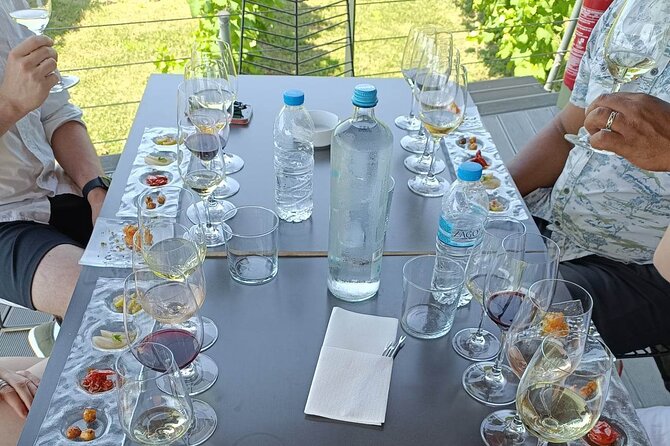 Wine Tasting Experience From Thessaloniki - Traveler Recommendations and Ratings