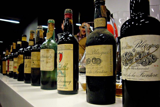 Wine Tourism Half Day Tour - Wine Tasting Experience