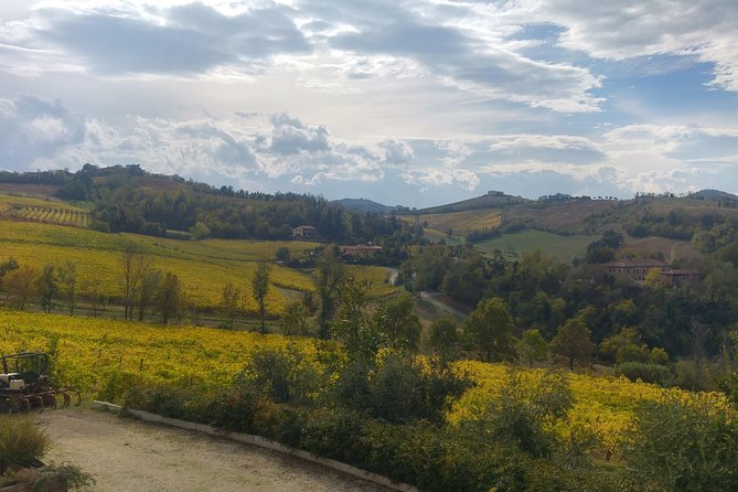 Winetour and Tasting on Bologna Hills, Guided by the Wine Grower - Languages Offered