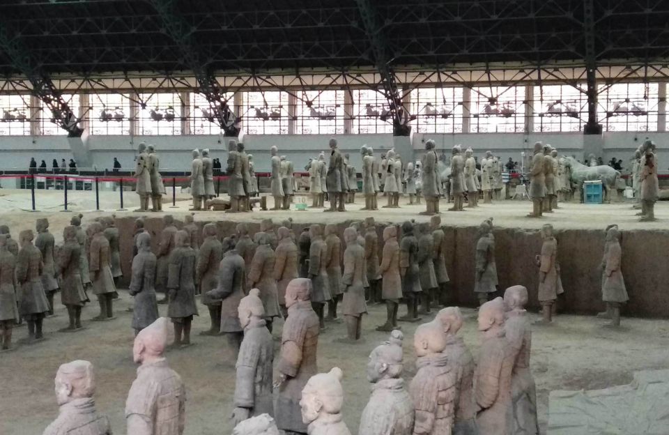 Xian: Half-Day Terracotta Warriors & Horses Museum Tour - Customer Feedback