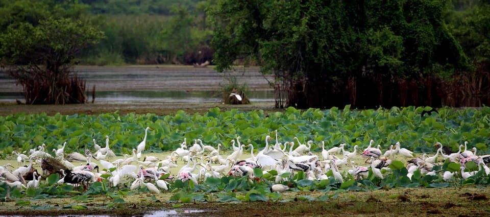 Yala National Park - Full Day Safari (04:30 Am - 06:00 Pm) - Park Entry Tickets