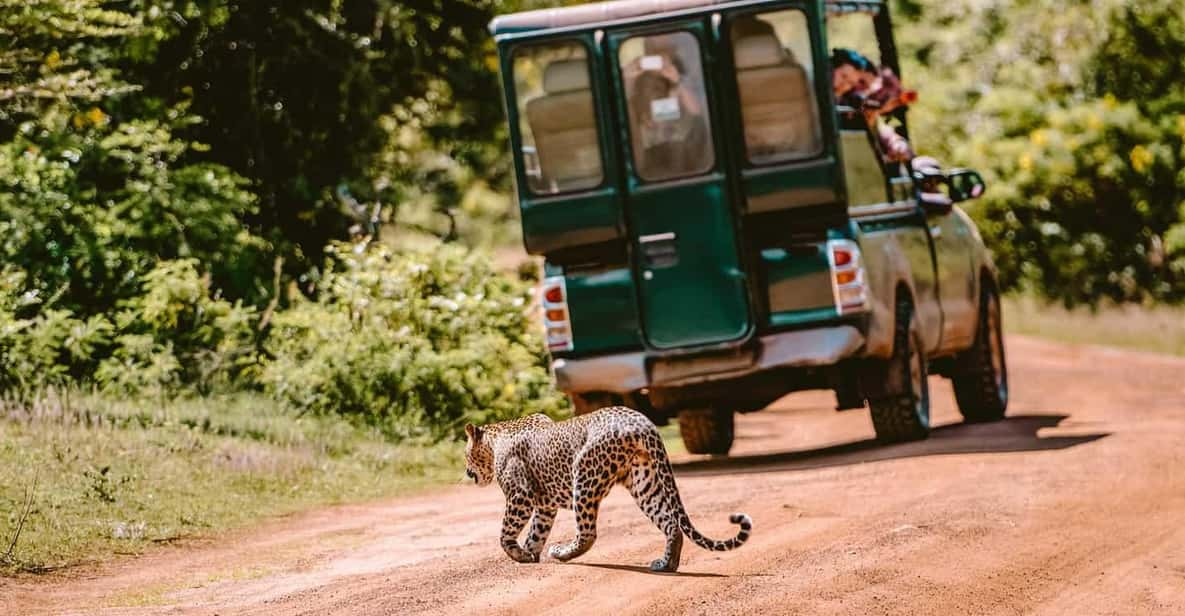 Yala: National Park Half Day Safari From Colombo - Frequently Asked Questions