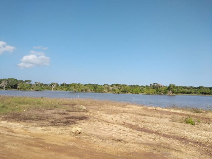 Yala National Park Safari Tour From Colombo / Galle - Pricing Details