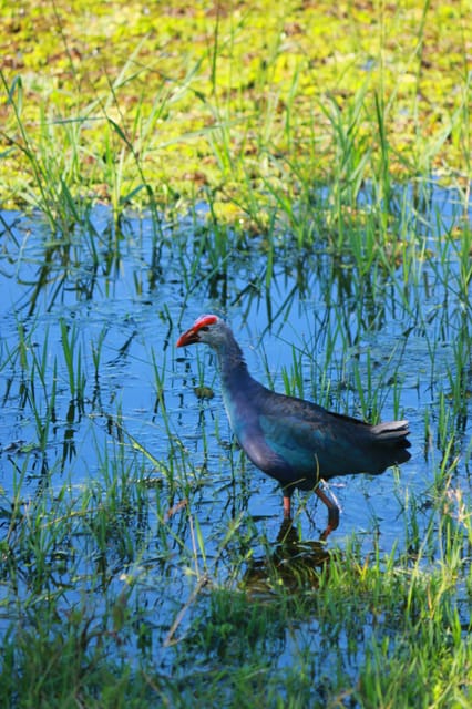 Yala Safari Tour From Hambantota Port - National Park Entrance