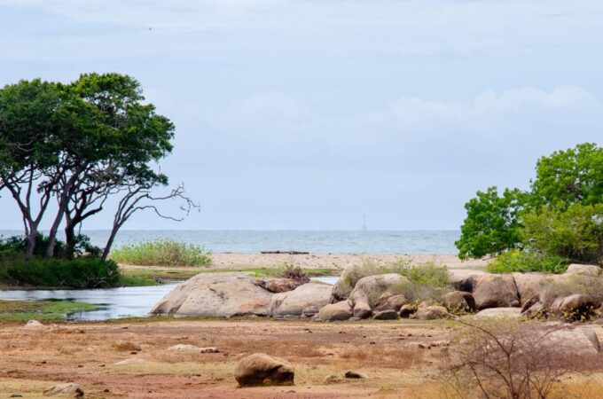 Yala Safari With Jeep & Entrance Tickets From Colombo - What to Bring