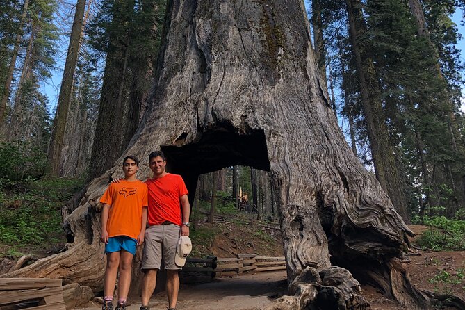 Yosemite Valley Discovery Walk - Ideal for First-Time Visitors