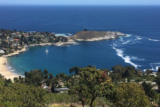Zapallar Walking & Bird Watching Penguins & Lunch From Valparaiso - Traveler Feedback