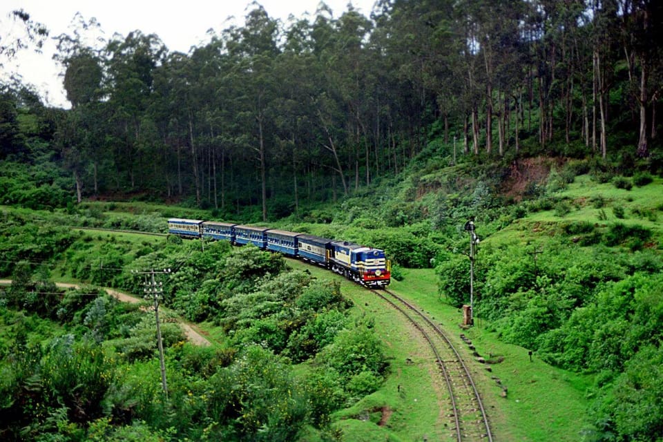 06 Days, Bangalore Mysore Ooty, Luxurious & Exclusive Tour - Day 5: Ooty Sightseeing