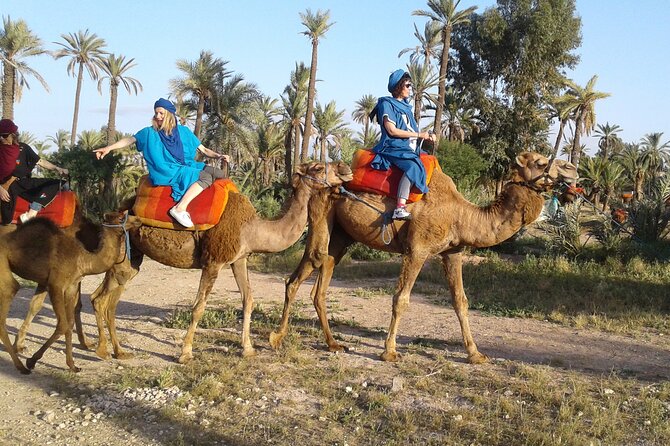 1-Hour Camel Ride in La Palmeraie Marrakech With Hotel Pick up - Frequently Asked Questions