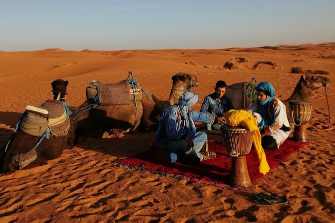 1 Night Camel Trekking Tour in Merzouga Desert Camp - Travelers Reviews