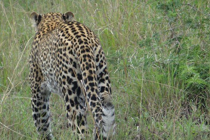 14 Days Uganda Safari Adventure, Gorilla Trekking and WildlifeTour - Itinerary and Logistics