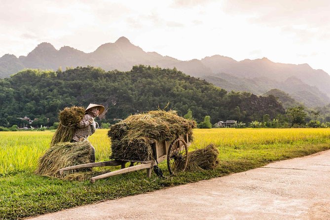 14 Days Vietnam Bicycling Tour - Important Booking Details