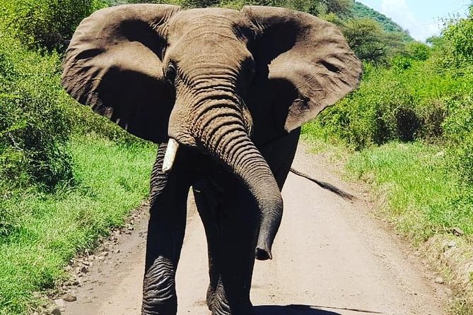 2 Days Saadani National Park From Zanzibar - Itinerary Day 2