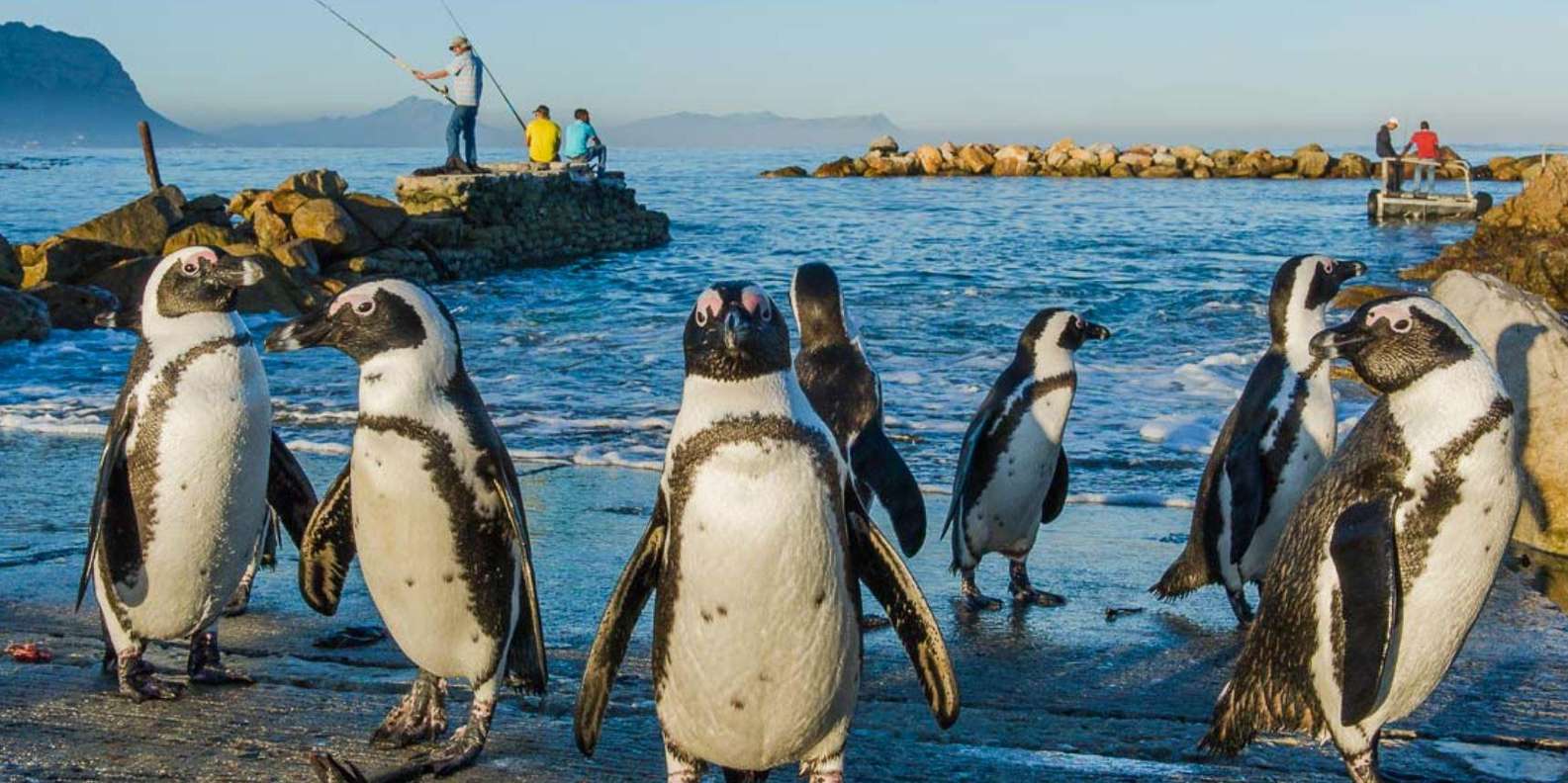 3 Day Garden Route & Wine Route Tour From Cape Town & Hiking - Tour Inclusions and Pricing