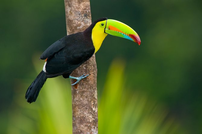 3 Day Tambopata Amazon Jungle Tour at Posada Amazonas - Cancellation and Luggage Policies