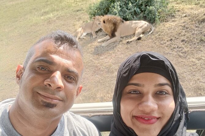 3 Days 2 Nights Masai Mara Enchoro Wildlife Camp - Wildlife Sightings