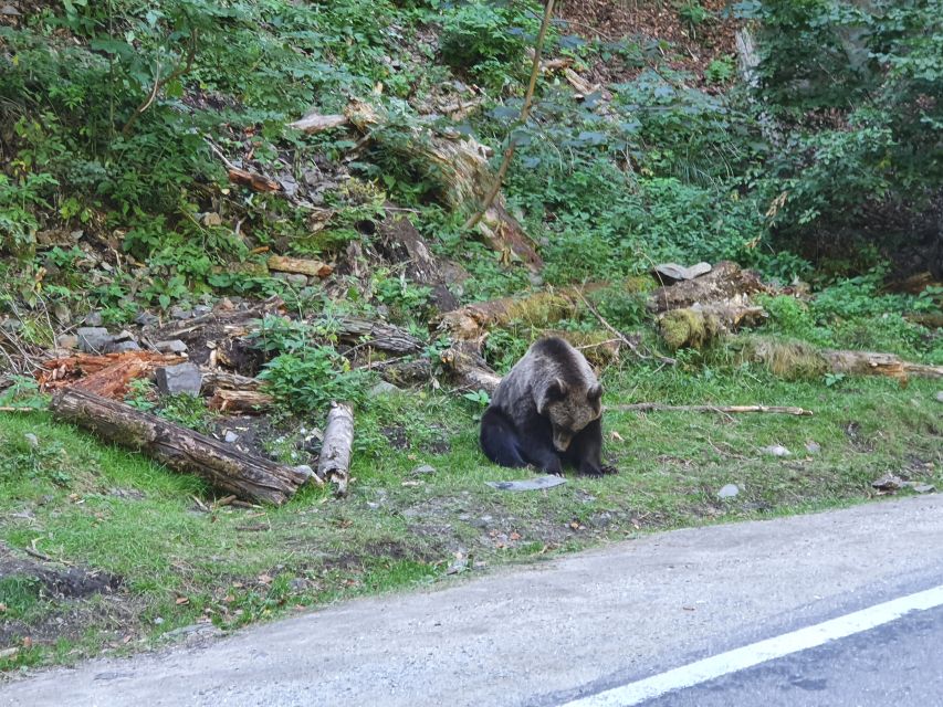 3 Days Private Guided Tour Including Transfagarasan Highway - Customization and Flexibility Options