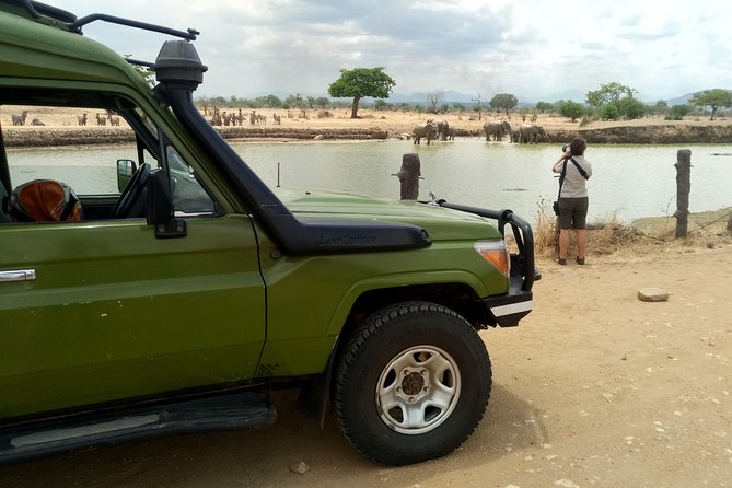 3 Days Safari to Mikumi NP - Accommodation Inside the Park - Preparatory Tips and Recommendations