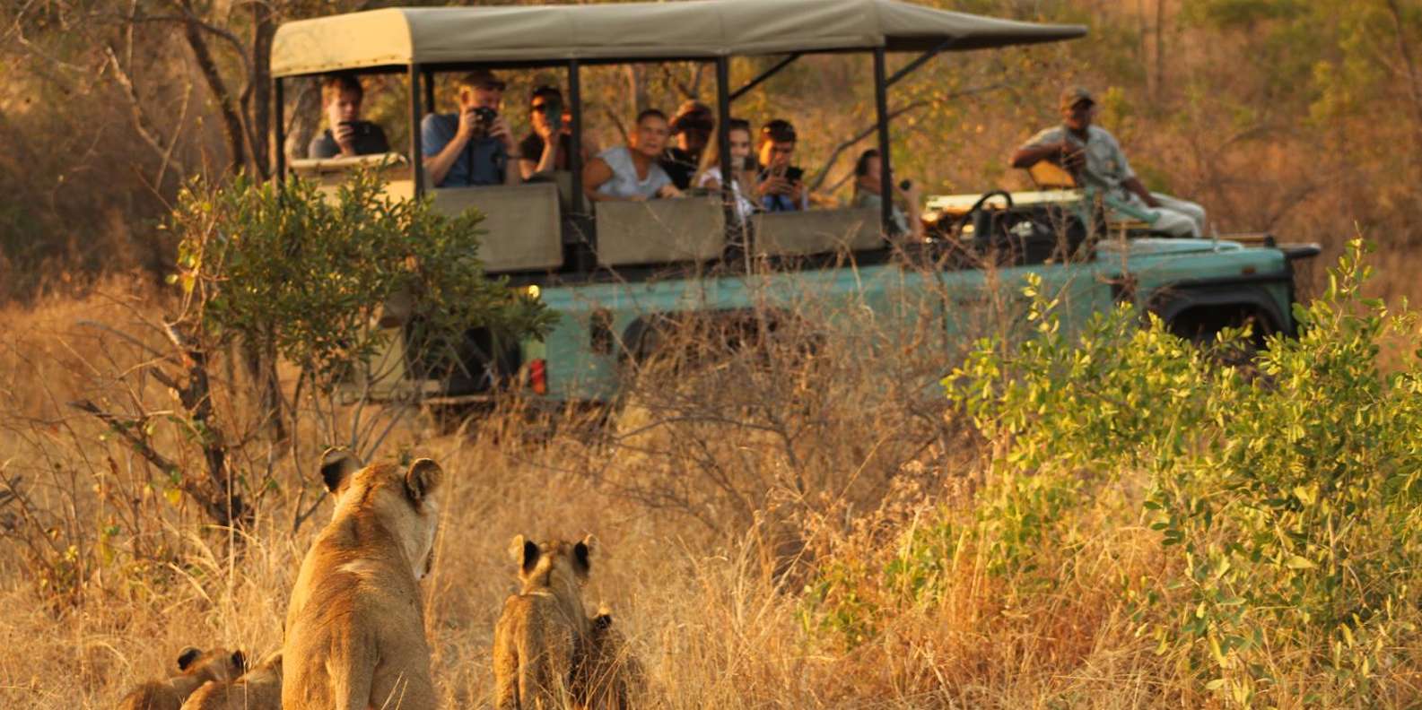 3 Hour Blue Canyon Private Reserve Game Drive - Frequently Asked Questions