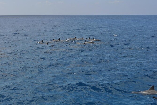 3-Hour Maalaea Luxury Snorkel Cruise Tour for up 6 Guests - Sum Up