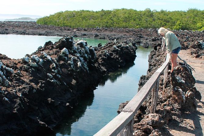 5-Day All-Inclusive Galapagos: Isabela and Santa Cruz Island - Inclusions and Important Information