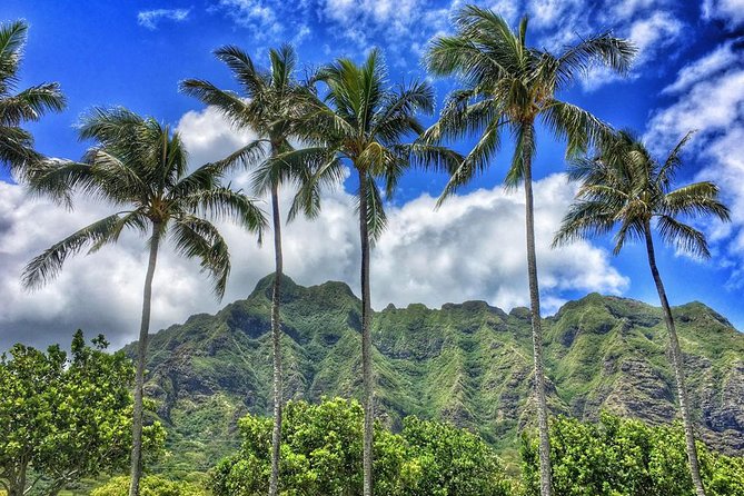 5 Hour Half Day Island Jeep Tour - Traveler Feedback and Recommendations