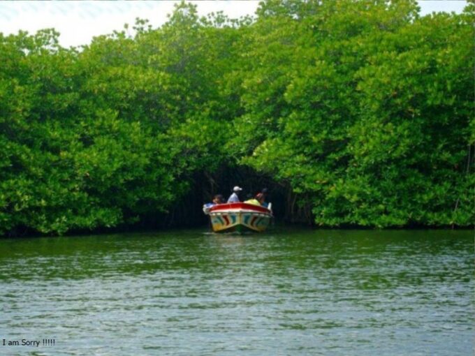 6 Nights 7 Days-Muslim Halal Tour With Safari at Udawalawe - Day 6: Bentota/Beruwala Exploration
