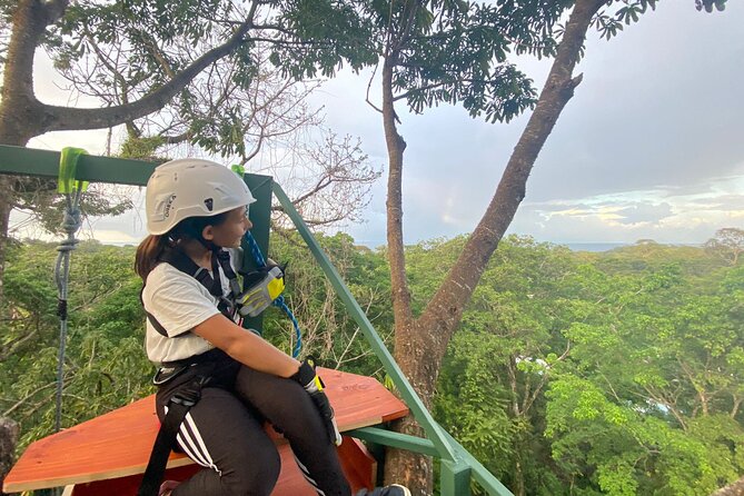 60M Tree Climbing Experience With Descent in Tarzan or Rapel - Health Restrictions and Pricing