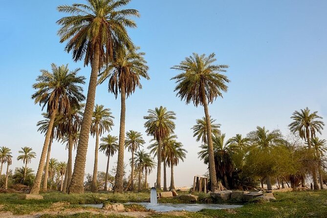 A Tour in Al Ahsa the Largest Oasis in the World - Concluding the Memorable Oasis Adventure