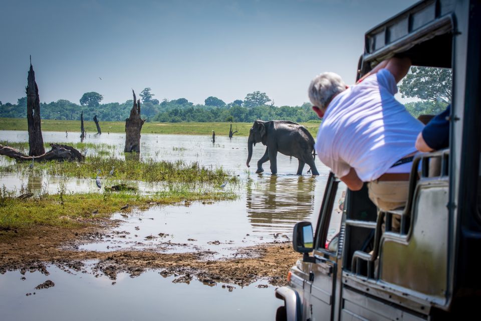 All Inclussive Udawalawa National Park Safari From Colombo - Recommendation and Suitability