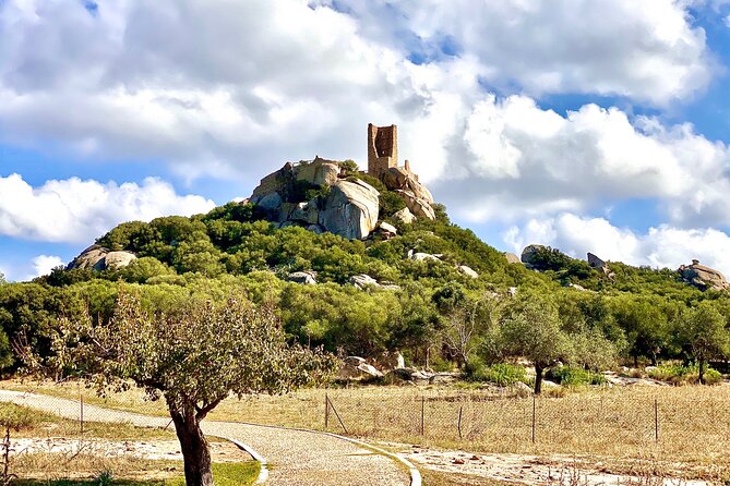 Archaeological Sites and Monuments in Sardinia: Small Group - Cultural Heritage Immersion