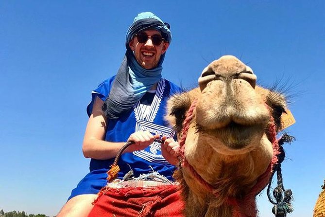 Atlas Mountains Day Trip With Camel Ride From Marrakech Including Lunch - Frequently Asked Questions