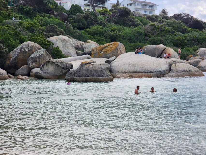 Beach Day at Boulders Beach & Penguin Watching, Half Day - Customer Reviews and Ratings