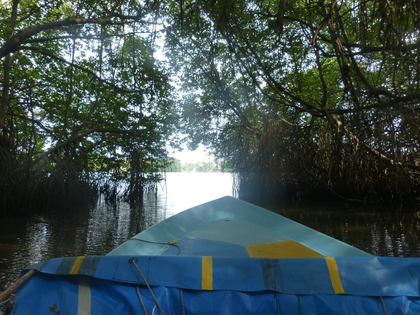 Bentota: Mangrove Lagoon and River Cruise - Cruise Duration and Cost