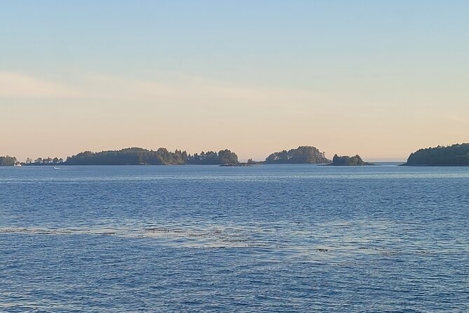 Best Whale Watching and Wildlife Shore Excursion in Sitka - Booking and Cancellation Policy