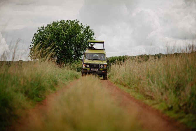 Big 5 Safari Day Trip - Booking Information