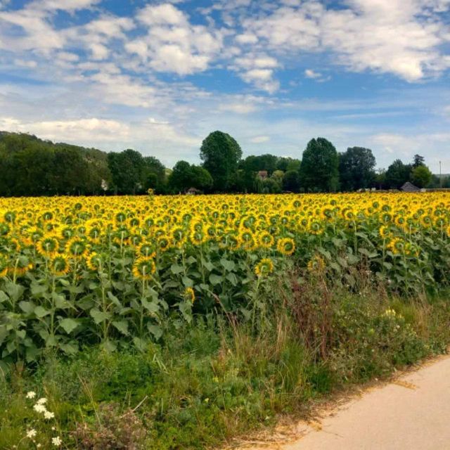 Bike Tour From Vernon to Giverny With Local Guide - Tour Schedule