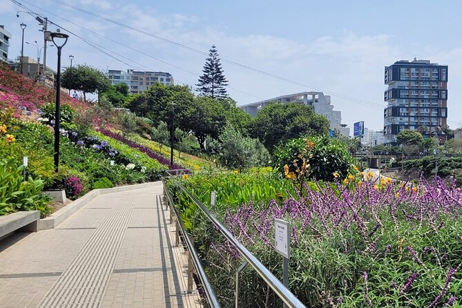 Birdwatching & Landscaping Tour in Lima - Traveler Reviews and Ratings
