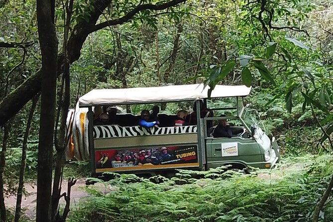 Blackwater Tubing Green Route Forest Adventure - Pricing and Cancellation