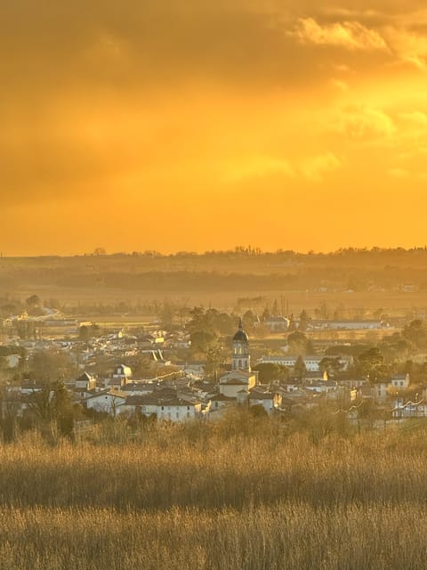 Bordeaux Backcountry E-Bike Tour With Lunch & Wine Tasting - Wine Tasting