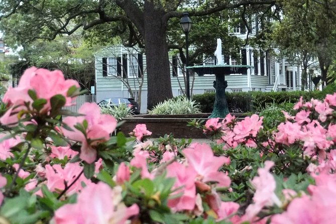 Botanical Tour (by Walk With Me Savannah Tours) - Unique Historical Insights