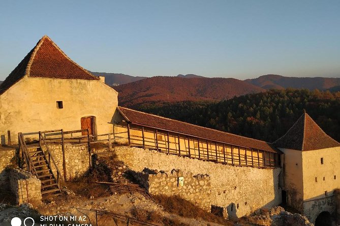 Brasov: Peles Castle, Bran Castle and Rasnov Fortress Day Tour - Customer Feedback Highlights