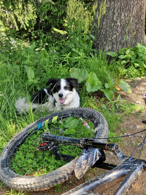 Brasov'S Mountain'S E-Mtb Tour With Daisy - The Sum Up