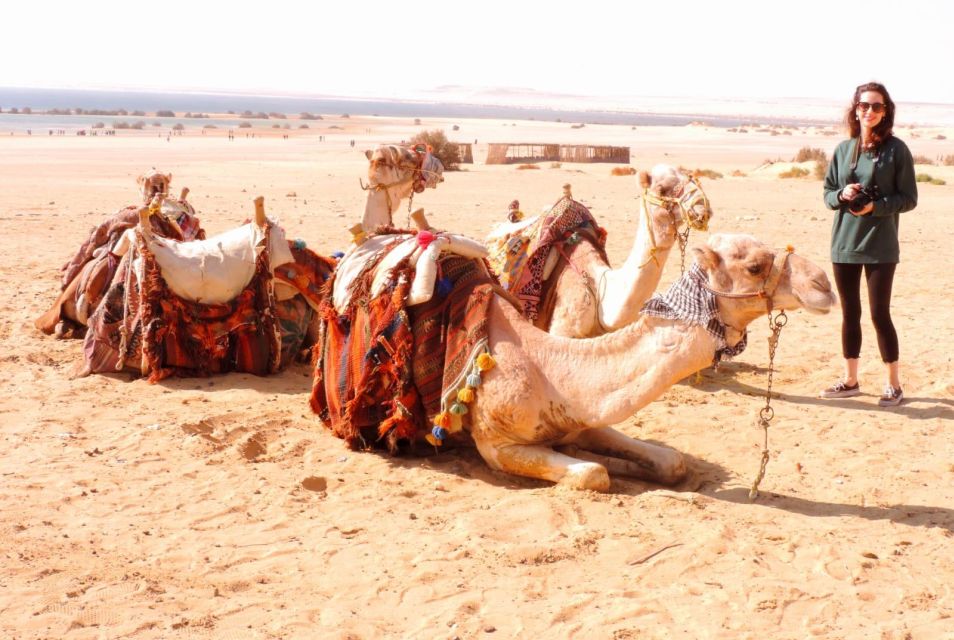 Cairo: 2-Day White Desert, Bahariya Oasis & El-Fayoum Tour - Travel Tips