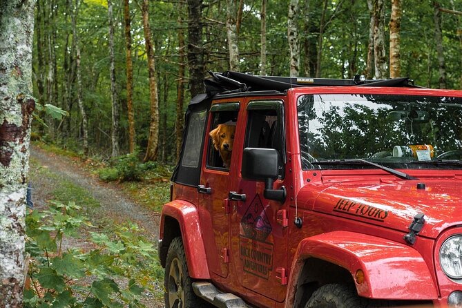 Cape Breton On/Off Road Scenic Adventure - Frequently Asked Questions