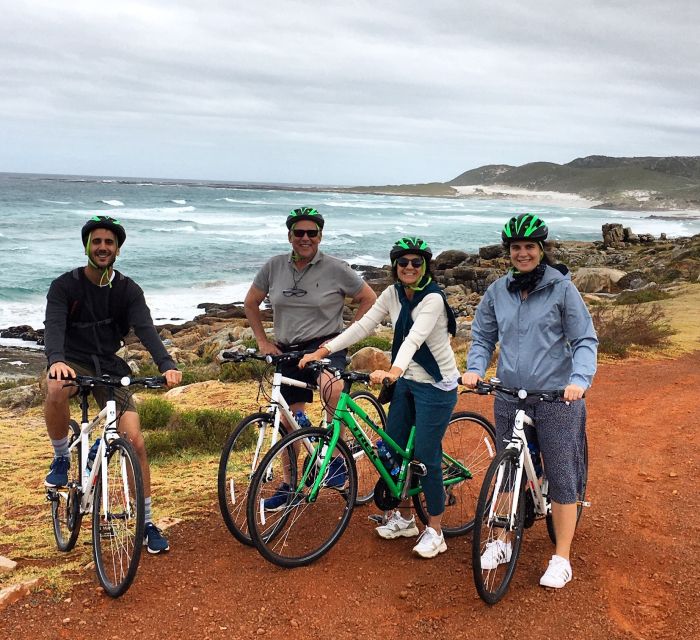 Cape Peninsula: Cycle & Drive Private Full Day Tour - Flexibility and Customization