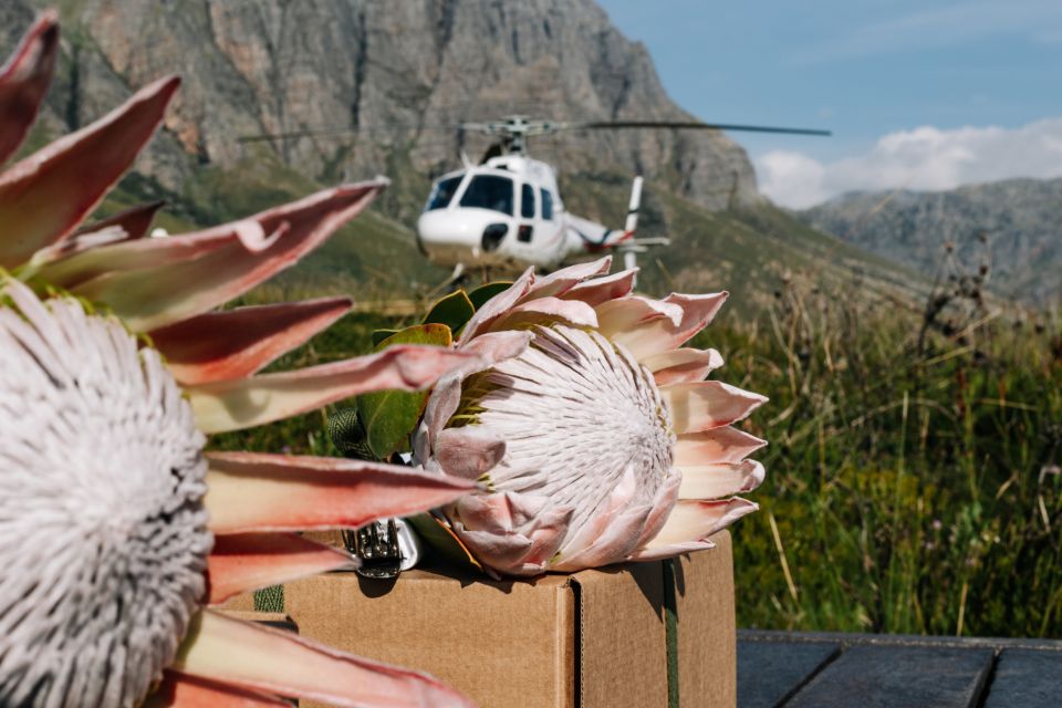 Cape Town: Gin & Tonic on the Mountain - Frequently Asked Questions