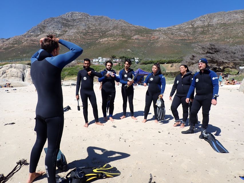 Cape Town: Great African Sea Forest Guided Snorkel - Becoming an Ocean Ambassador